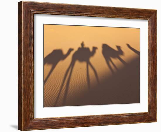 Camel Train Shadows, Erg Chebbi, Sahara Desert, Morocco-Peter Adams-Framed Photographic Print