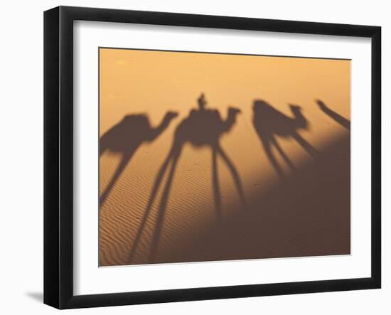 Camel Train Shadows, Erg Chebbi, Sahara Desert, Morocco-Peter Adams-Framed Photographic Print