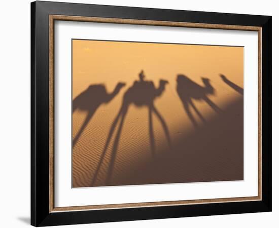 Camel Train Shadows, Erg Chebbi, Sahara Desert, Morocco-Peter Adams-Framed Photographic Print