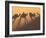 Camel Train Shadows, Erg Chebbi, Sahara Desert, Morocco-Peter Adams-Framed Photographic Print