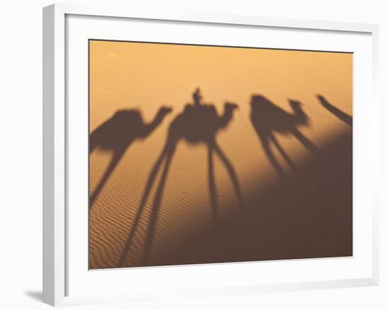 Camel Train Shadows, Erg Chebbi, Sahara Desert, Morocco-Peter Adams-Framed Photographic Print