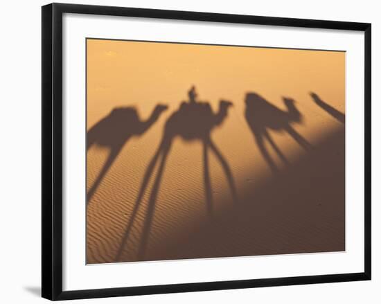 Camel Train Shadows, Erg Chebbi, Sahara Desert, Morocco-Peter Adams-Framed Photographic Print