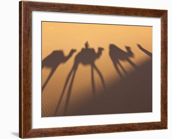 Camel Train Shadows, Erg Chebbi, Sahara Desert, Morocco-Peter Adams-Framed Photographic Print