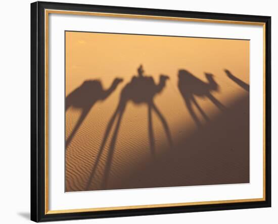 Camel Train Shadows, Erg Chebbi, Sahara Desert, Morocco-Peter Adams-Framed Photographic Print