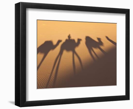 Camel Train Shadows, Erg Chebbi, Sahara Desert, Morocco-Peter Adams-Framed Premium Photographic Print
