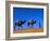 Camel Train Through Desert, Morocco, North Africa-Bruno Morandi-Framed Photographic Print