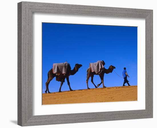 Camel Train Through Desert, Morocco, North Africa-Bruno Morandi-Framed Photographic Print