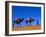Camel Train Through Desert, Morocco, North Africa-Bruno Morandi-Framed Photographic Print