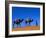 Camel Train Through Desert, Morocco, North Africa-Bruno Morandi-Framed Photographic Print