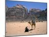 Camel, Wadi Rum, Jordan, Middle East-Michael Short-Mounted Photographic Print