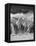 Camel Wash Station-Thomas Barbey-Framed Premier Image Canvas