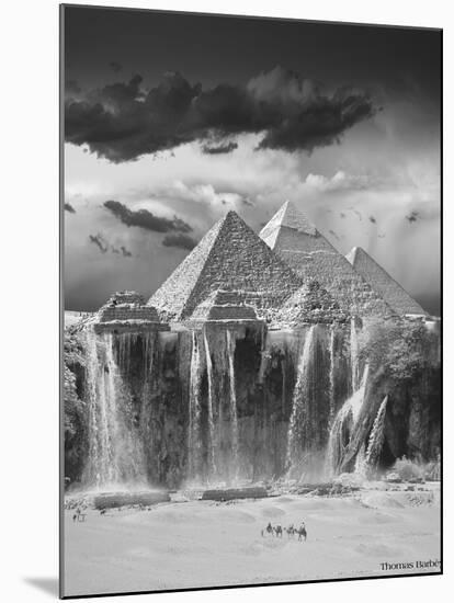 Camel Wash Station-Thomas Barbey-Mounted Giclee Print