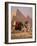 Camel with Woven Saddle Cloth Being Led Towards Pyramids by Man in White Robe, at Giza, Egypt-null-Framed Photographic Print