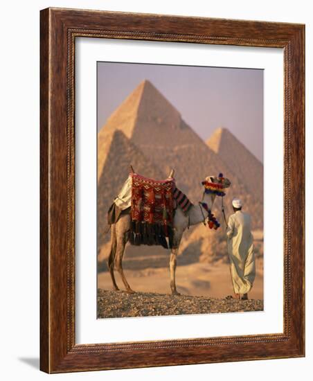 Camel with Woven Saddle Cloth Being Led Towards Pyramids by Man in White Robe, at Giza, Egypt-null-Framed Photographic Print