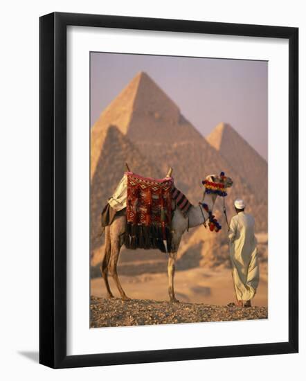Camel with Woven Saddle Cloth Being Led Towards Pyramids by Man in White Robe, at Giza, Egypt-null-Framed Photographic Print