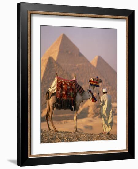 Camel with Woven Saddle Cloth Being Led Towards Pyramids by Man in White Robe, at Giza, Egypt-null-Framed Photographic Print