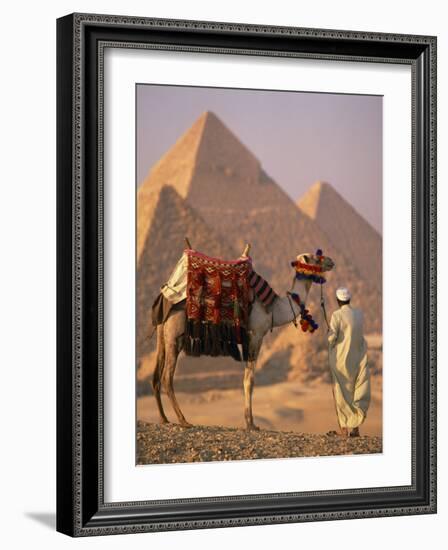 Camel with Woven Saddle Cloth Being Led Towards Pyramids by Man in White Robe, at Giza, Egypt-null-Framed Photographic Print