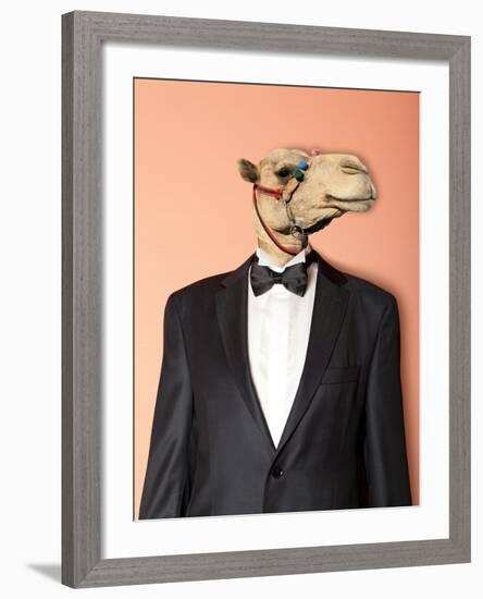 Camel-Andreyuu-Framed Photographic Print