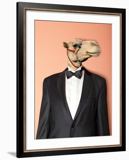 Camel-Andreyuu-Framed Photographic Print