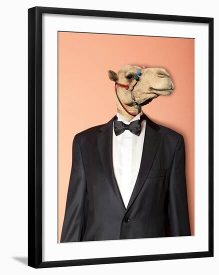 Camel-Andreyuu-Framed Photographic Print