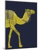 Camel-null-Mounted Giclee Print