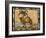 Camel-Robin Betterley-Framed Giclee Print