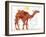 Camel-Teofilo Olivieri-Framed Giclee Print