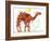 Camel-Teofilo Olivieri-Framed Giclee Print