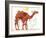 Camel-Teofilo Olivieri-Framed Giclee Print