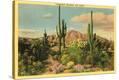 Stretched Canvas Print