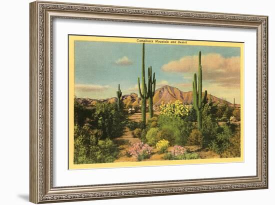 Camelback Mountain, Saguaros, Arizona--Framed Art Print