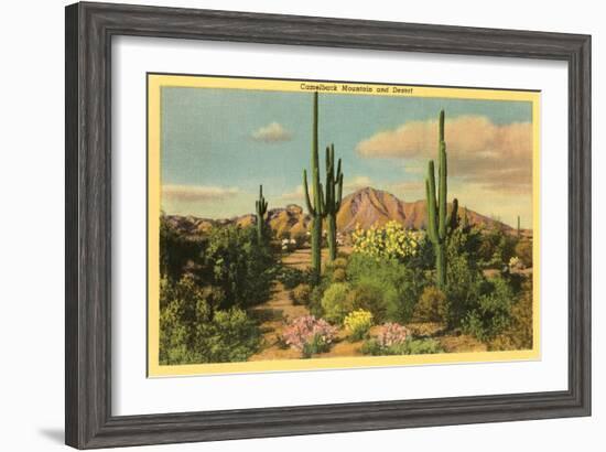 Camelback Mountain, Saguaros, Arizona-null-Framed Art Print