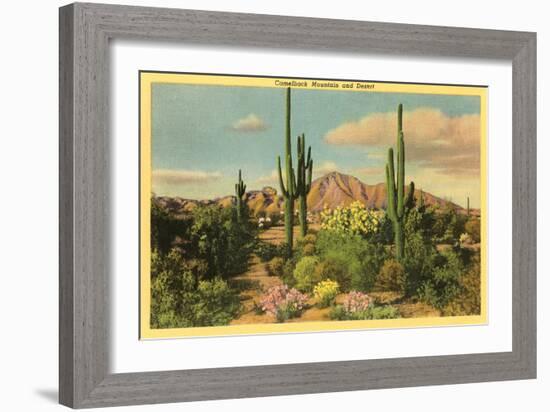 Camelback Mountain, Saguaros, Arizona-null-Framed Art Print