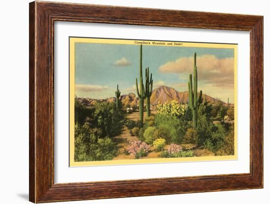 Camelback Mountain, Saguaros, Arizona-null-Framed Art Print