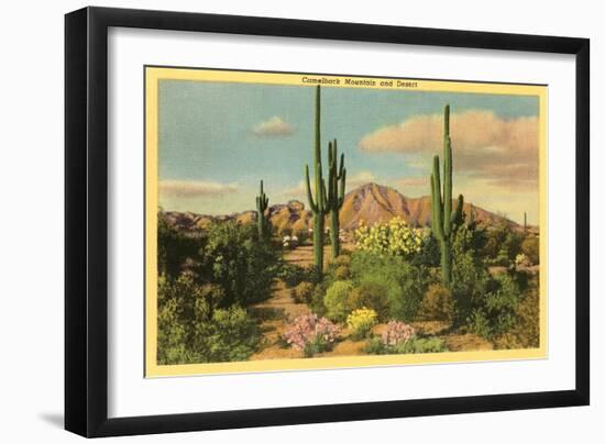 Camelback Mountain, Saguaros, Arizona--Framed Art Print