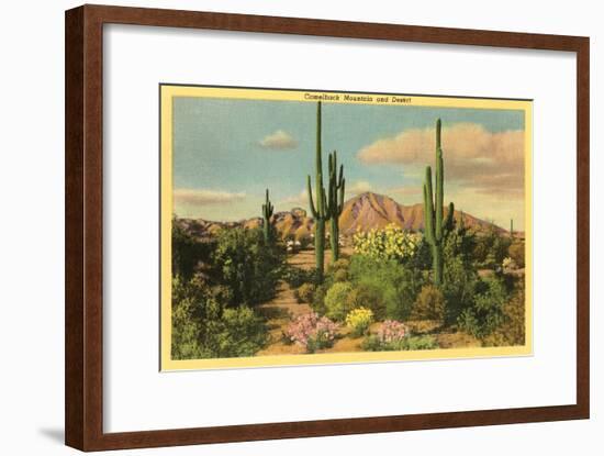 Camelback Mountain, Saguaros, Arizona-null-Framed Art Print