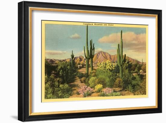 Camelback Mountain, Saguaros, Arizona--Framed Art Print