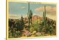 Stretched Canvas Print