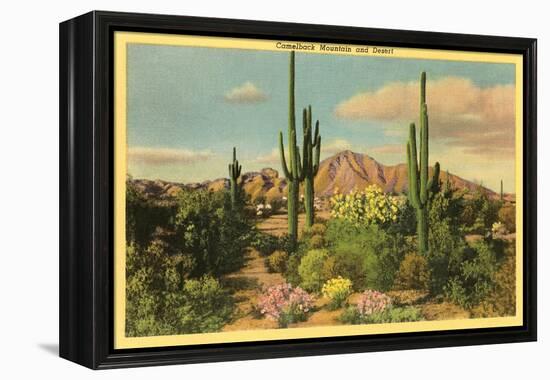 Camelback Mountain, Saguaros, Arizona-null-Framed Stretched Canvas