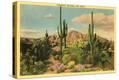 Stretched Canvas Print