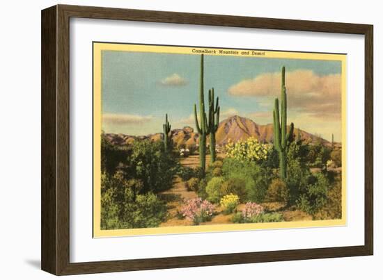 Camelback Mountain, Saguaros, Arizona-null-Framed Premium Giclee Print