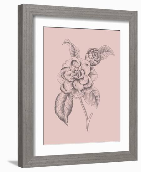 Camelia Blush Pink Flower-Jasmine Woods-Framed Art Print