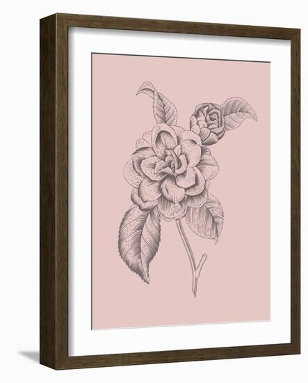 Camelia Blush Pink Flower-Jasmine Woods-Framed Art Print