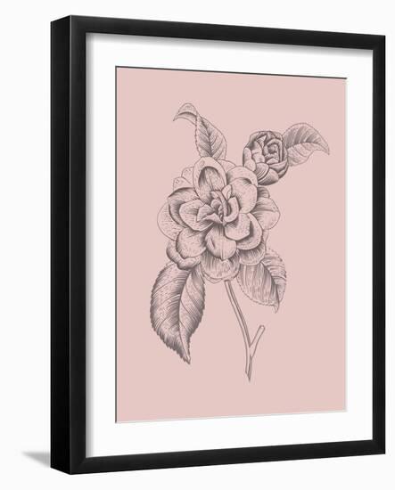 Camelia Blush Pink Flower-Jasmine Woods-Framed Art Print