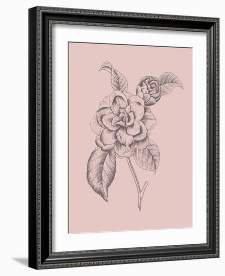 Camelia Blush Pink Flower-Jasmine Woods-Framed Art Print