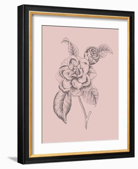 Camelia Blush Pink Flower-Jasmine Woods-Framed Art Print