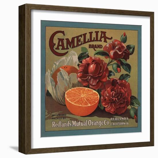 Camelia Brand - Redlands, California - Citrus Crate Label-Lantern Press-Framed Art Print