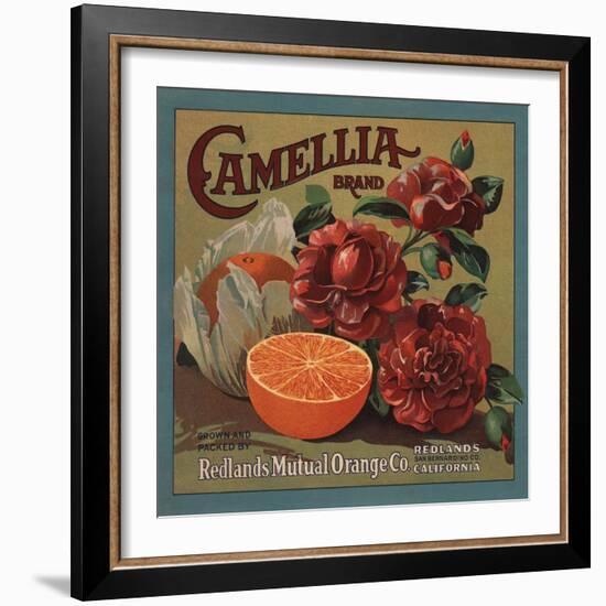 Camelia Brand - Redlands, California - Citrus Crate Label-Lantern Press-Framed Art Print