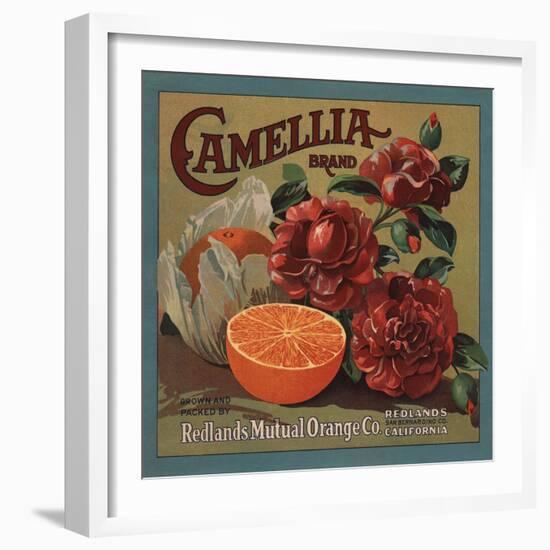 Camelia Brand - Redlands, California - Citrus Crate Label-Lantern Press-Framed Art Print