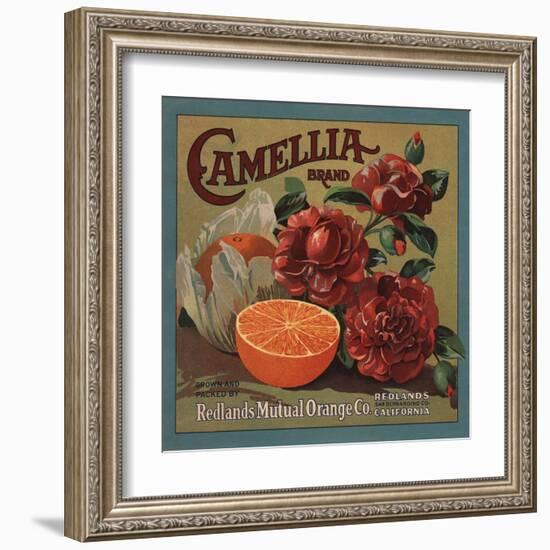 Camelia Brand - Redlands, California - Citrus Crate Label-Lantern Press-Framed Art Print